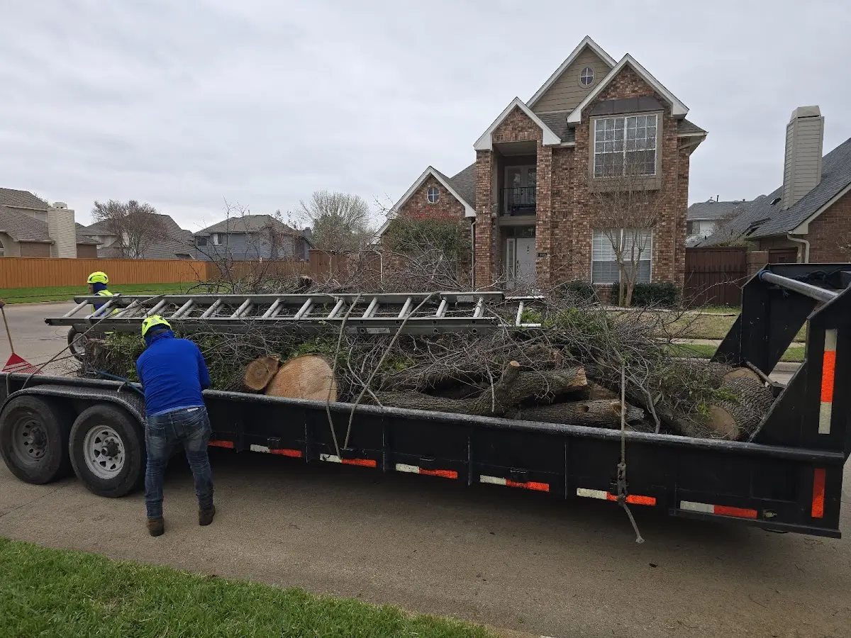 Expert Tree Removal with proper safety equipment in Aquashicola